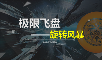 極限飛盤 旋轉風暴